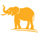 Kasi Africa Safari